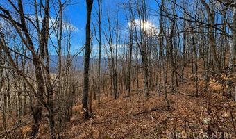 Wakeman Way, Banner Elk, NC 28604