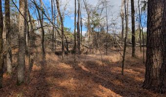 3015 Timber Woods Dr Lot 8, Appling, GA 30802