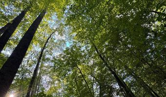 0 Military Rd, Beaverton, AL 35544