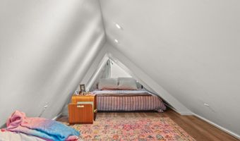 910 W Hallam St 11, Aspen, CO 81611