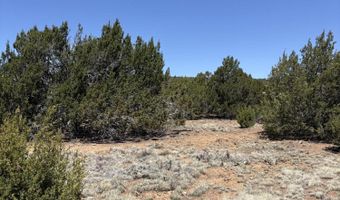 82 N 8368, Concho, AZ 85924