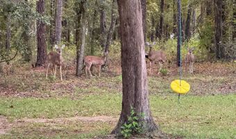 24415 NW 90TH Pl, Alachua, FL 32615