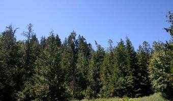18 Majestic Mountain Rd, Clark Fork, ID 83811