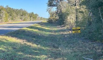 NW Lake McKenzie Rd, Altha, FL 32421