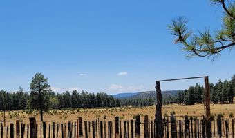 Tbd STONE CREEK RD CR 2117, Alpine, AZ 85920