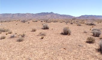 308-19 248 N Abeche Dr, Chloride, AZ 86431