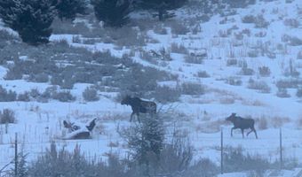 51 Wood Creek Rd, Boulder, MT 59632