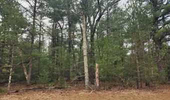 Dyke Avenue lot 8, Adams, WI 53910