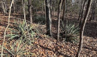 Pecks Drive N, Bergman, AR 72615