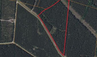 Tuten Road, Aurora, NC 27806
