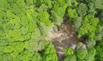 Tbd Brookstone Rd, Bastian, VA 24314