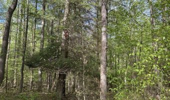 TBD McNair Road, Albright, WV 26519
