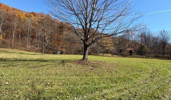 815 White Oak Rd, Artie, WV 25008