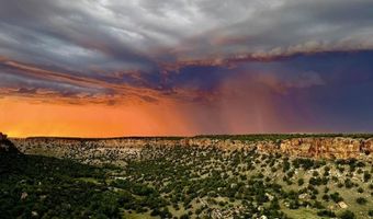 000 County Road 40.2 Poitry Canyon Ranch, Branson, CO 81027