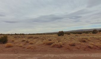 42 N5576, Concho, AZ 85924