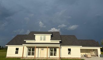 4419 Altamaha School Rd, Baxley, GA 31513