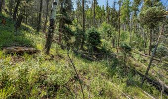 Vail Loop lot 400, Angel Fire, NM 87710