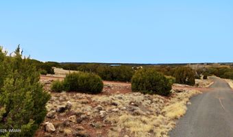 83 County Road 5083, Concho, AZ 85924