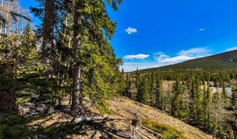 270 Co Rd 667 Lot 0, Alma, CO 80440