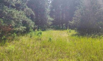 Lot 114 County Road Z, Arkdale, WI 54613