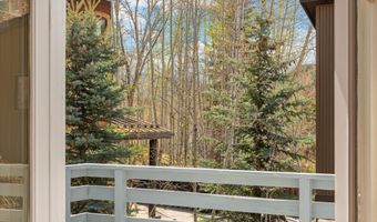 534 536 Spruce St, Aspen, CO 81611