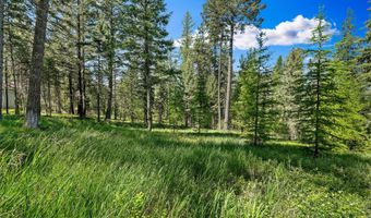 599 Pommel Dr, Bigfork, MT 59911