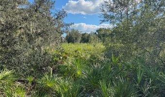 0 ALTURAS BABSON PARK CUT OFF Rd, Bartow, FL 33830