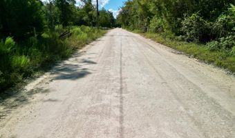 55 Th St, Bell, FL 32619