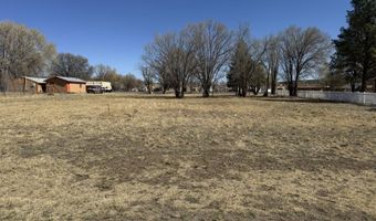 302 Smokey Bear Blvd, Capitan, NM 88316