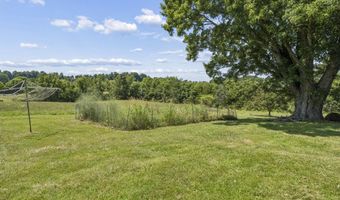 1655 Mary Lamons Rd, Afton, TN 37616