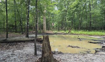 River Rd, Bascom, FL 32423