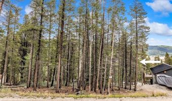158 N ASPEN St, Alma, CO 80420