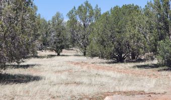 Ranch And Cattle lot 13, Ash Fork, AZ 86320