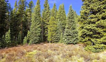 PCS # 7765 & 12057 Rollies Trail lot 0, Alma, CO 80420