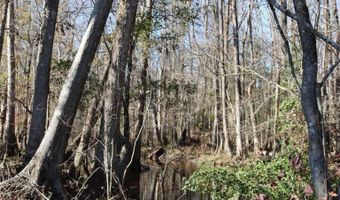 Highway 3, Blackville, SC 29817