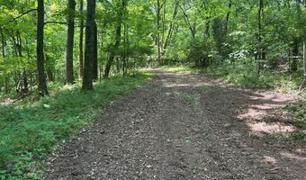 10515 Paw Paw Springs Rd, Arrington, TN 37014