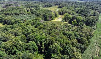 25270 B Dr S, Albion, MI 49224