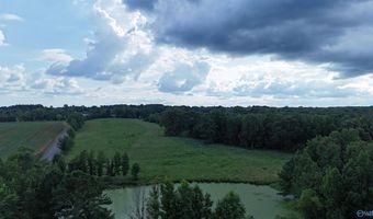 26 4 Acres Brashiers Chapel Rd, Arab, AL 35016