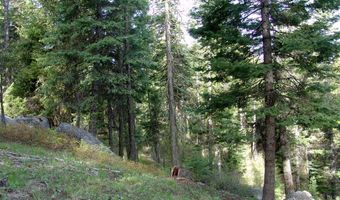 B52 Osprey Ridge Road, Cascade, ID 83611