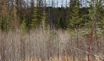 TBD40 Township Road 5743, Alborn, MN 55702