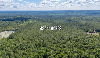 43 5 +/- A Old River Rd, Baker, FL 32531