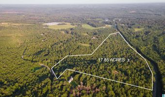200 TABLEE LANE Lot 17.65, Ashland, AL 36251