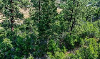 554 Pine Spring Dr, Bayfield, CO 81122