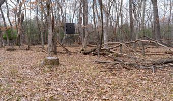 255 45 Ac Dover Dr, Adams, WI 53910