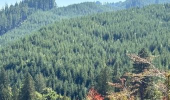 Van Horn 140 Rd, Alsea, OR 97324
