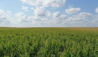 Marsh Avenue, Allison, IA 50602