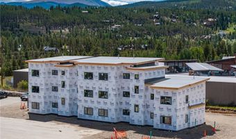 350 STAN MILLER 101, Breckenridge, CO 80424