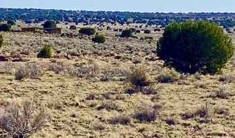River Meadows Ranch Unit 3 Lot 204, Concho, AZ 85924