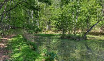 141 Cradon Hls, Amherst, VA 24521
