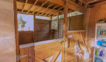 560 N LAKE PLEASANT Rd, Apopka, FL 32712